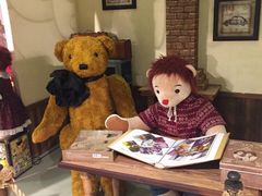 -济州岛泰迪熊博物馆