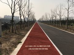 -上海长兴岛郊野公园