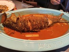-阿五黄河大鲤鱼(建业路店)