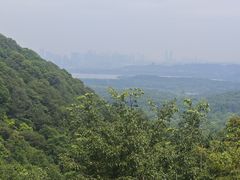 -韬光茶庵