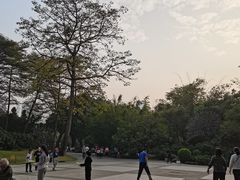 -晓港公园