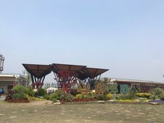 -上海长兴岛郊野公园