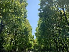 -上海海湾国家森林公园