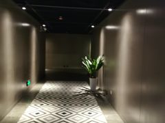 -SOE精选影城