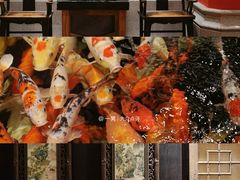 -龙悦湾酒家·八阵鱼生·渔人码头店
