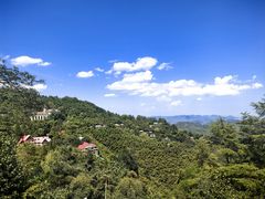 -莫干山风景区