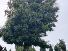 -新疆那拉提国家旅游度假区