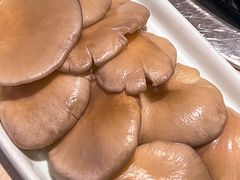 -浩爷羊蝎子火锅(望京店)