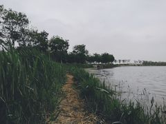 -天津东丽湖风景区