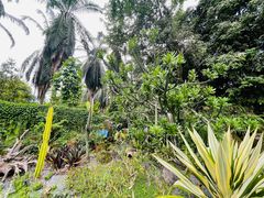 -中国科学院西双版纳热带植物园