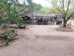 -深圳野生动物园
