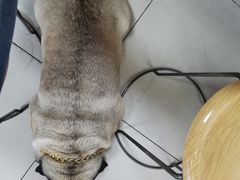 -双冰面馆(茶南店)