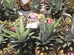 -盒马鲜生(枣园路店)