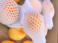 -大红果烤鸭·新派融合菜·皇顺利(谷丰路店)