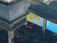 -兰亭风景区