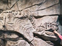 -正佳自然科学博物馆