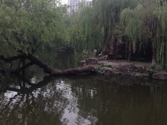 -水绘园