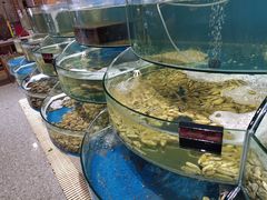 -蓝珊甄选海鲜自助·火锅大排档(近阿那亚店)