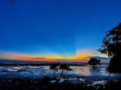 -宝安西湾红树林湿地公园