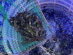 -七的湖·晚芳亭·阳澄湖农家菜·大闸蟹(莲花岛店)