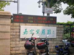 -嘉定紫藤园