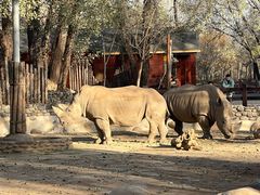 -北京野生动物园
