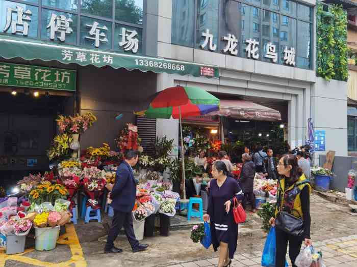 武汉最大的花鸟市场图片