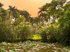 -中国科学院西双版纳热带植物园