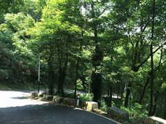 IMG_9678-广州市帽峰山景区
