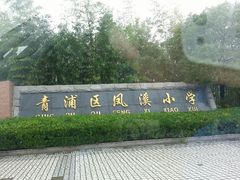 android_upload_pic-青浦区凤溪小学