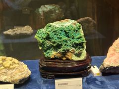 -国家自然博物馆