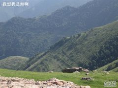 -空中草原
