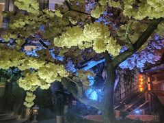 -嘉悦汗蒸时代(曙光路店)