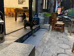 -老字号.雅克白族石板烧十年老店(大理古城店)