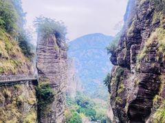-龙湾潭国家森林公园
