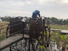 -武汉紫薇都市田园