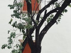 -须弥福寿之庙