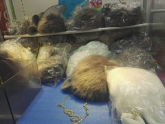 -汤姆熊欢乐世界(滨江店)