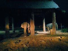 -清迈夜间动物园