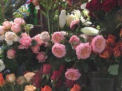-知物癖(牛王庙店)