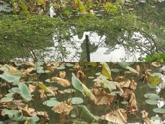 -四海公园(南山区)