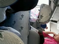 android_upload_pic-新疆天山野生动物园