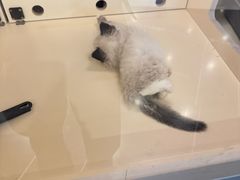 -寰映影城(大融城激光IMAX店)