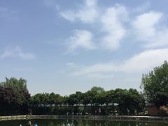 -特种渔场