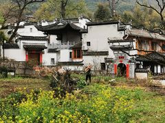-塔川景区