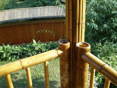 PB047851-堤角公园