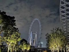 景点-宝安西湾红树林湿地公园