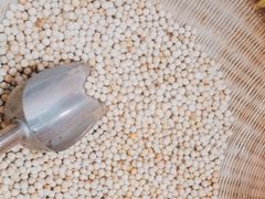 -袁小二大东北铁锅炖(吉祥村总部)