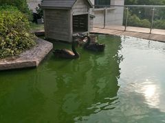 -南京圣和府邸豪华精选酒店