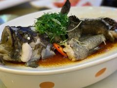 -湾仔渔村(高明店)